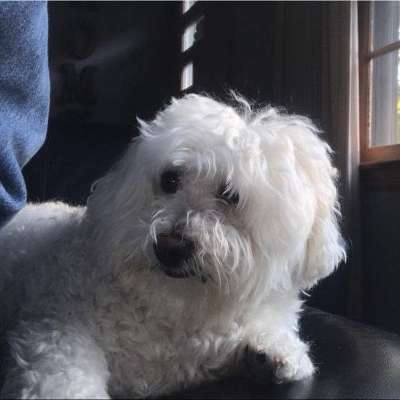 Meet your Posher, Cin - Picture 1 of 1